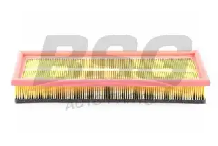 BSG 65135013 Hava Filtresi