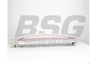 BSG 60535005 Turbo Radyatörü