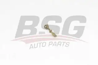 BSG 90975011 Kapı Kilit Levyesi