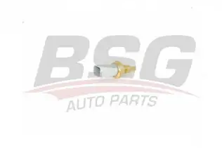 BSG 25840005 Hararet Müşürü