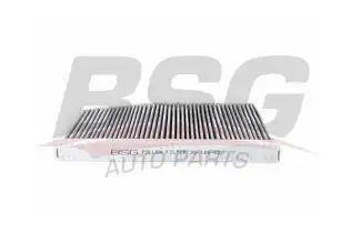 BSG 30145020 Polen Filtresi