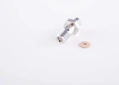 BOSCH 2467413025 Tazyik Subabı - 19. Görsel