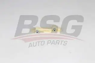 BSG 30109016 Eksantrik Zincir Paleti
