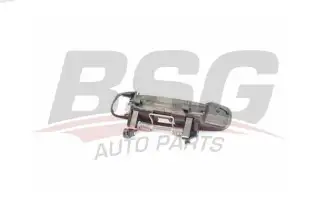 BSG 90970012 Kapı Dış Açma Kolu Sağ