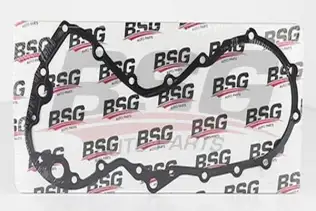 BSG 30116089 Yağ Pompa Contası