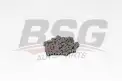 BSG 60109008 Yağ Pompa Zinciri