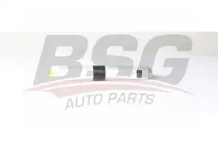 BSG 15130005 Yakıt Filtresi