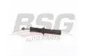 BSG 15300039 Amortisör Ön