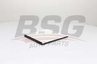 BSG 16145002 Polen Filtresi