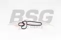 BSG 15116021 Yağ Radyatör Contası