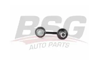 BSG 40310044 Viraj Askı Rotu Arka