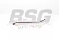 BSG 65725006 Gaz Kelebek Hortumu