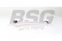 BSG 75310079 Viraj Askı Rotu Ön