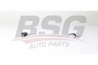 BSG 75310079 Viraj Askı Rotu Ön