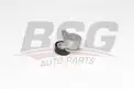 BSG 90615053 V Kayış Gergi Rulmanı