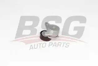 BSG 90615053 V Kayış Gergi Rulmanı