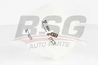 BSG 90550004 Radyatör Yedek Su Deposu