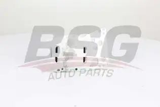 BSG 15506014 Yağ Radyatörü