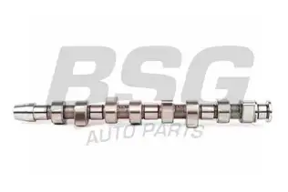 BSG 90108002 Eksantrik Mili