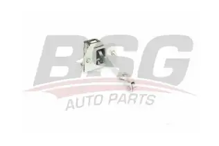 BSG 70975056 Kapı Gergisi Arka
