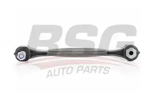 BSG 60310169 Viraj Askı Rotu Arka
