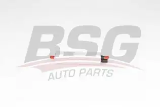 BSG 15830012 Mazot Pompası
