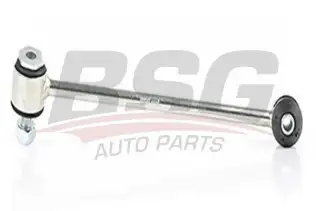 BSG 60310191 Viraj Askı Rotu Arka Sağ