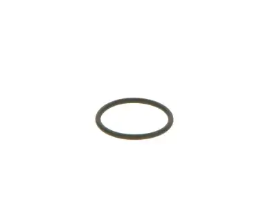 BOSCH 2440210039 Lastik - 14. Görsel