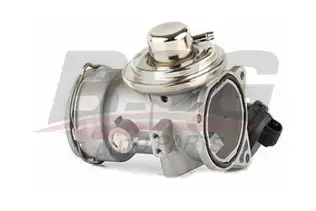 BSG 90836012 Egr Valfi
