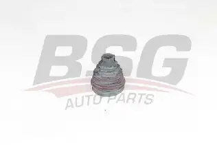 BSG 25705007 Aks Körüğü İç