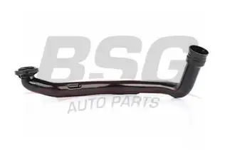 BSG 90122001 Yağ Borusu