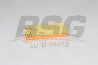 BSG 25135006 Hava Filtresi