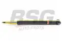 BSG 65300017 Amortisör Arka