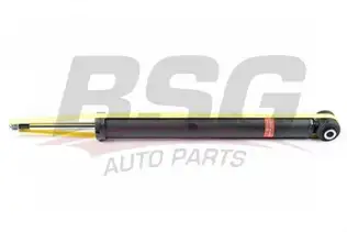 BSG 65300017 Amortisör Arka