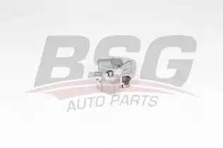 BSG 90101014 Yağ Pompası