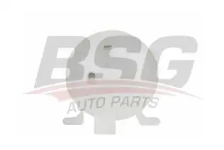 BSG 65550002 Radyatör Yedek Su Deposu