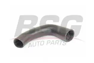BSG 25720033 Turbo Hortumu