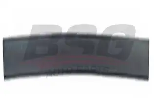 BSG 65925016 Kapı Bandı Ön Sol