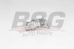 BSG 90101009 Yağ Pompası
