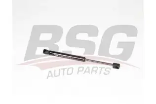 BSG 15980063 Motor Kaput Amortisörü