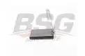 BSG 25530001 Kalorifer Radyatörü