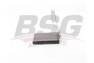 BSG 25530001 Kalorifer Radyatörü