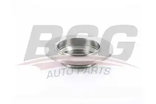 BSG 60210048 Fren Diski Arka