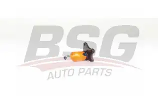 BSG 90310194 Rotil Alt Sağ