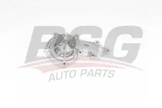 BSG 15500042 Devirdaim
