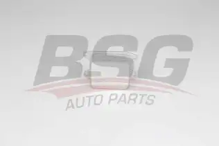 BSG 90506015 Yağ Soğutucusu