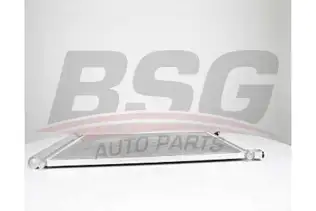 BSG 60525030 Klima Radyatörü