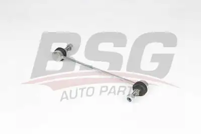 BSG 25310047 Viraj Askı Rotu Ön - 2. Görsel