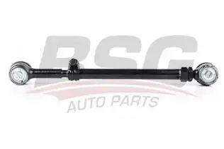 BSG 60310200 Yan Rot