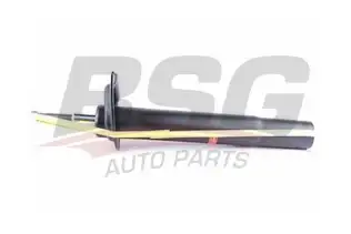 BSG 15300024 Amortisör Ön